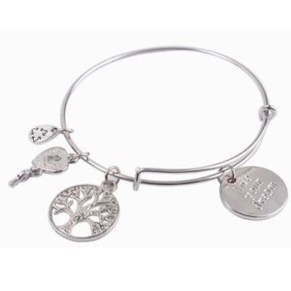 Jewelry - NEW!! Adjustable Charm Bracelet